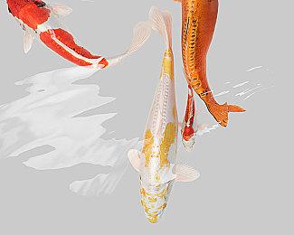 光荣有意让旗下更多游戏加入XGP等会员订阅服务